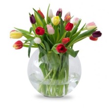 Tulip at request (Orange)